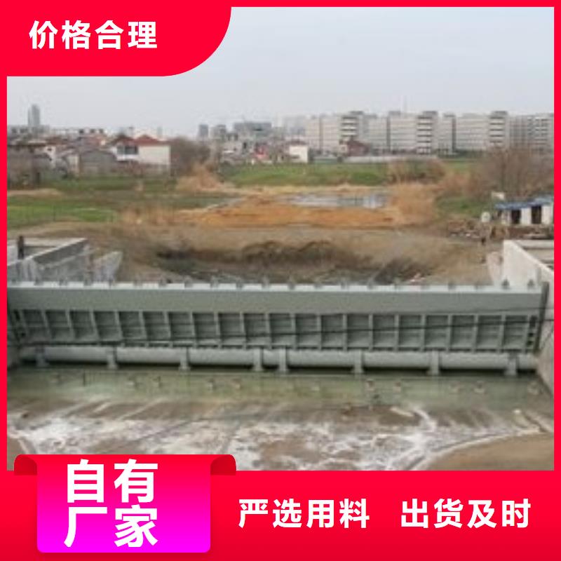 翻板闸门大厂生产品质