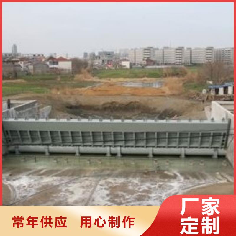 【翻板闸门拦污栅制造生产销售】