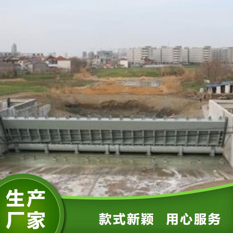 钢制拍门-视频-黑龙江省哈尔滨市|道里|呼兰|佳木斯|黑河|牡丹江|齐齐哈尔钢制拍门-清污机