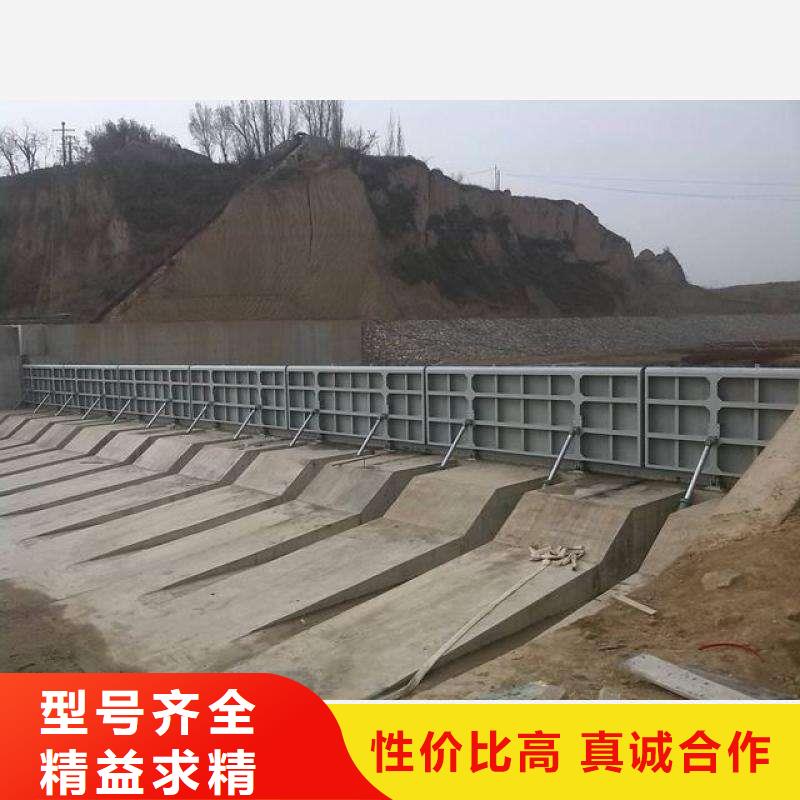 翻板闸门_【拦污栅】本地配送