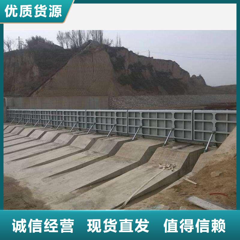 翻板闸门实力商家