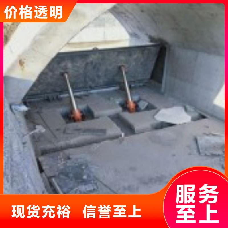  翻板闸门优选厂商