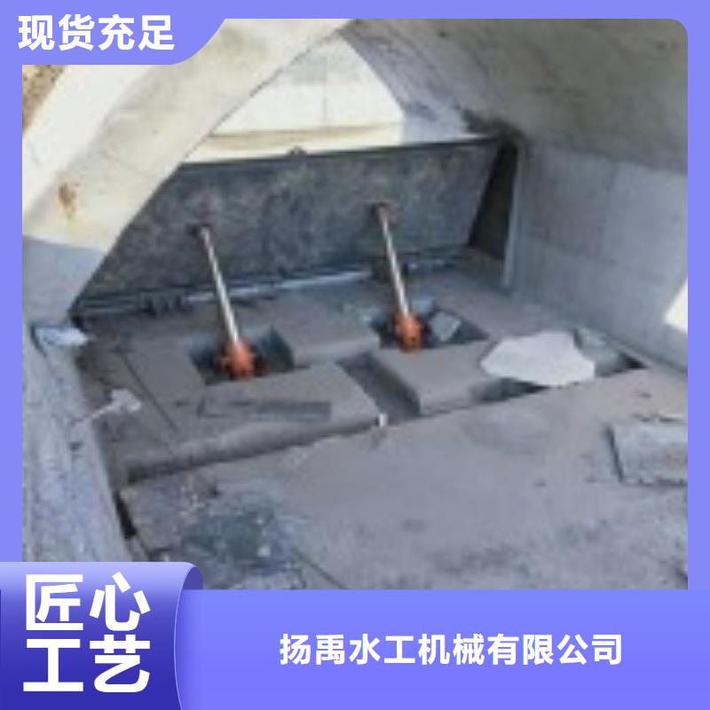 翻板闸门品质值得信赖
