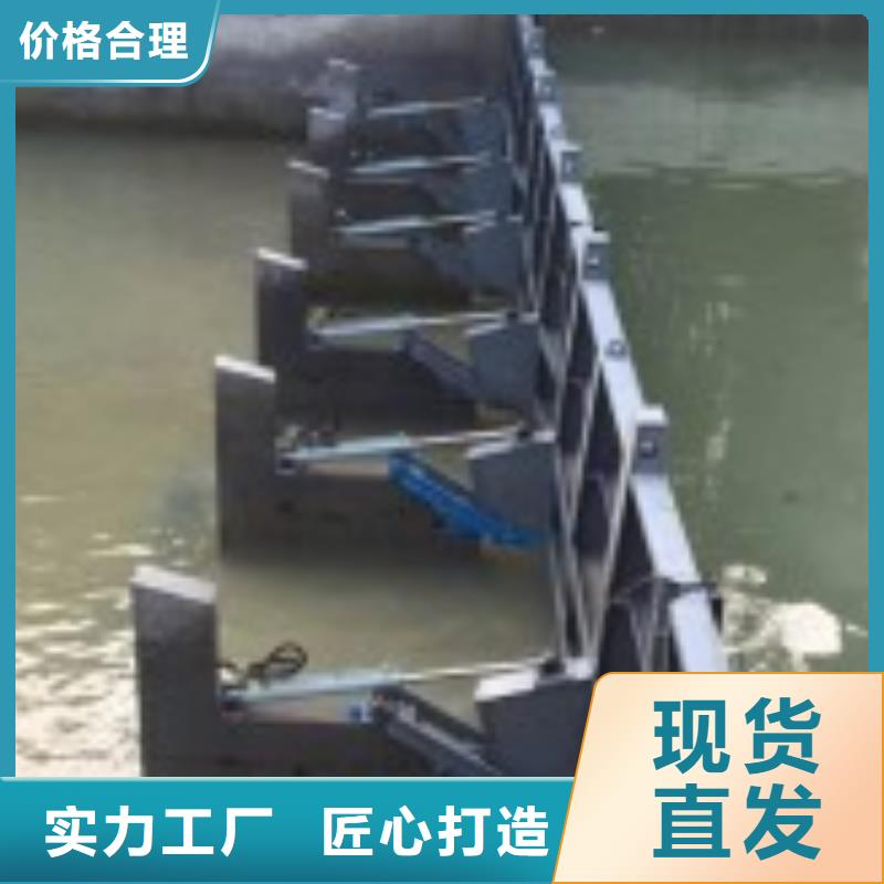 钢制拍门-视频-黑龙江省哈尔滨市|道里|呼兰|佳木斯|黑河|牡丹江|齐齐哈尔钢制拍门-清污机