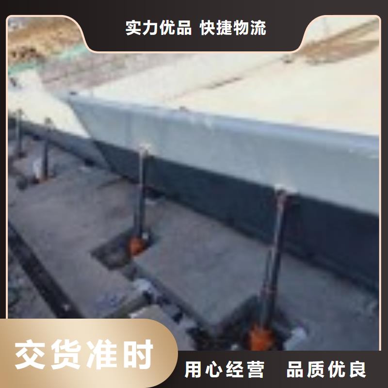 钢制拍门-视频-钢制拍门-河畔水利机械厂(潮州市分公司)服务区域湘桥|饶平|珠海|汕尾|揭阳|肇庆|梅州|惠州
