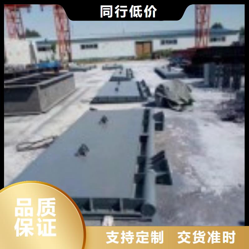 翻板闸门颜色尺寸款式定制