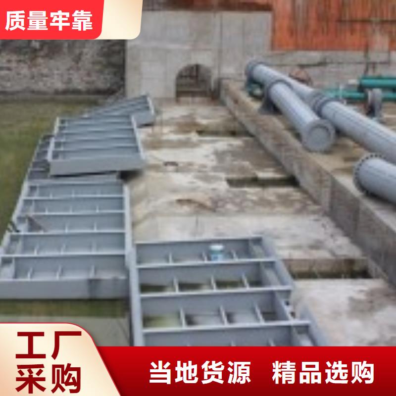 翻板闸门真材实料加工定制