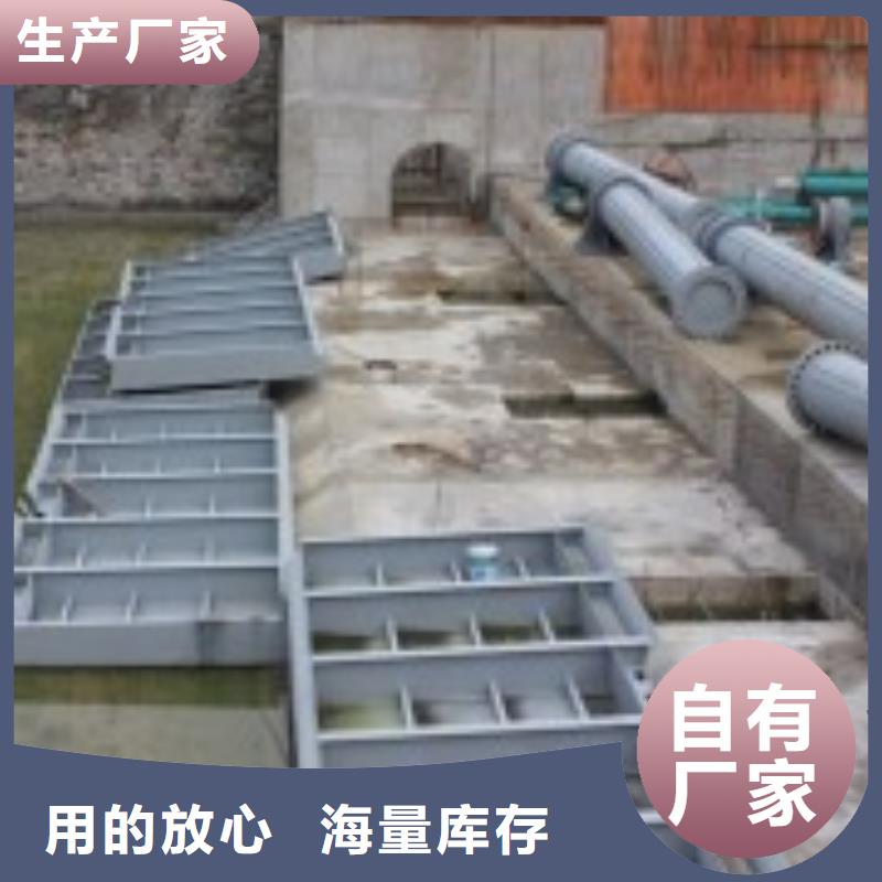 翻板闸门精选厂家好货