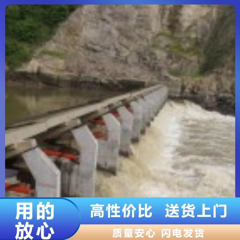 翻板闸门精选厂家好货