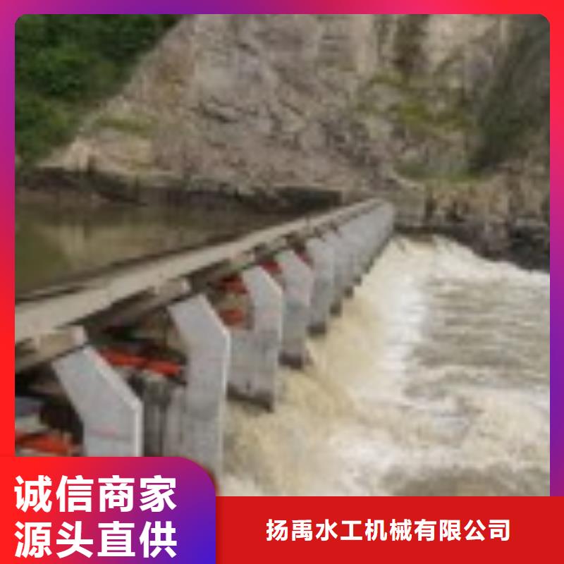 【翻板闸门】_拦污栅专业品质