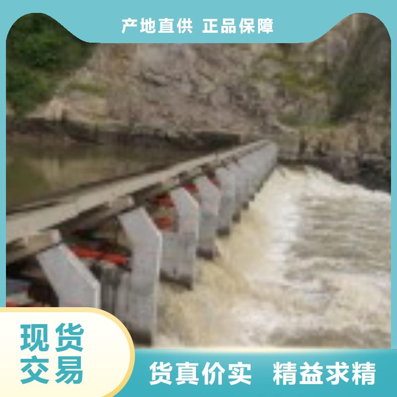 翻板闸门真材实料加工定制