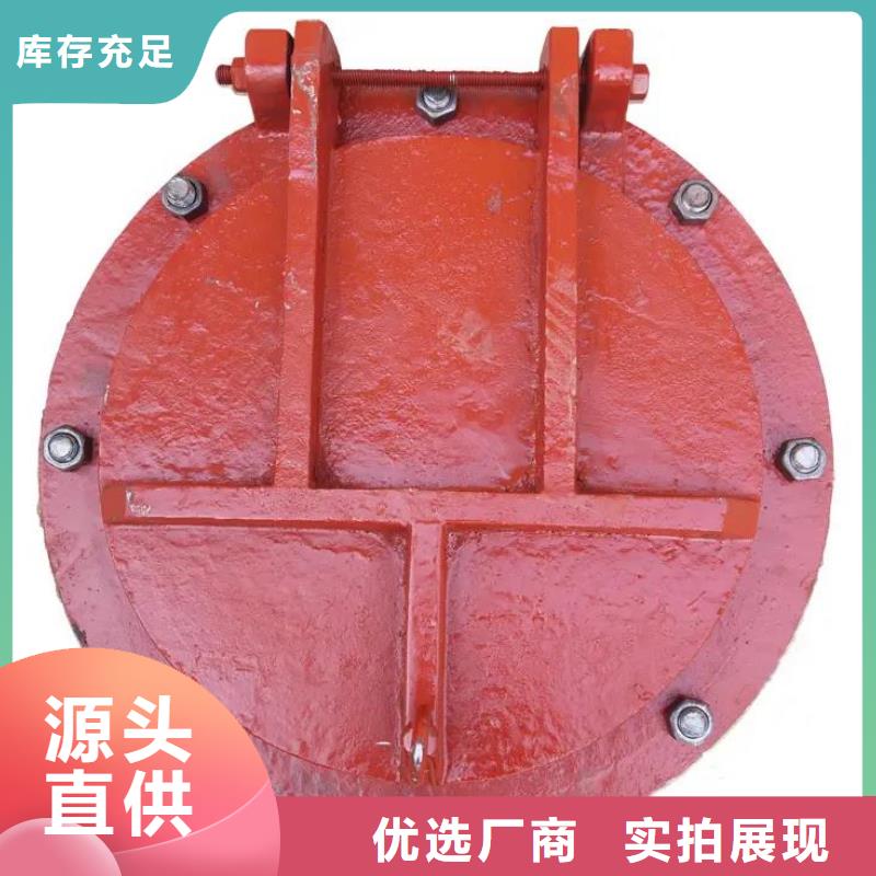 拍门-泵站铸铁闸门今日新品