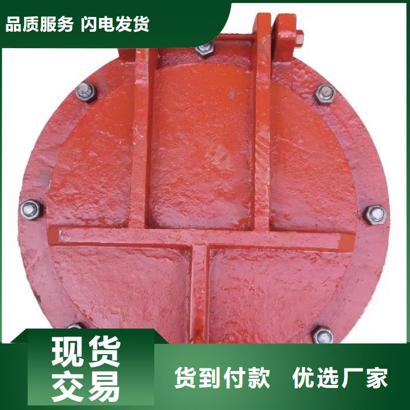 拍门 钢制闸门实体诚信厂家