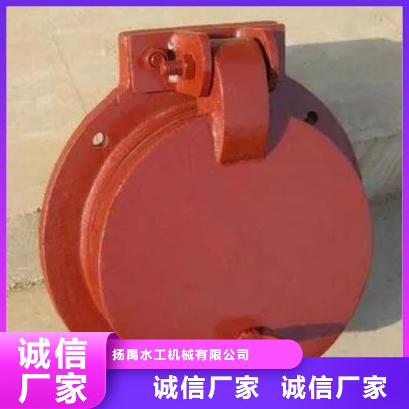 拍门 【铸铁闸门】欢迎来电询价