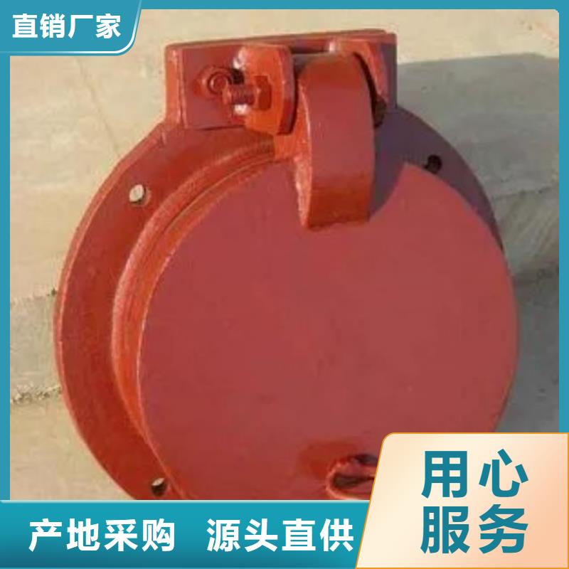 钢制拍门-视频-钢制拍门(清污机)覆盖地域直辖重庆市涪陵|大足|长寿|奉节|江津