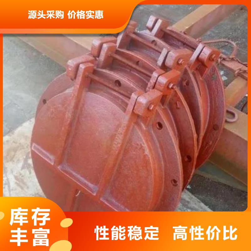 拍门拦污栅一个起售