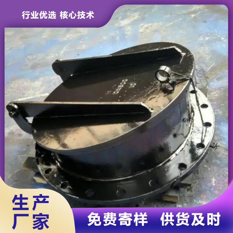 钢制拍门-视频-乌鲁木齐市钢制拍门-(当地)可服务区域克拉玛依|伊犁
