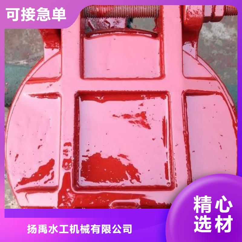 拍门钢制闸门多年经验值得信赖
