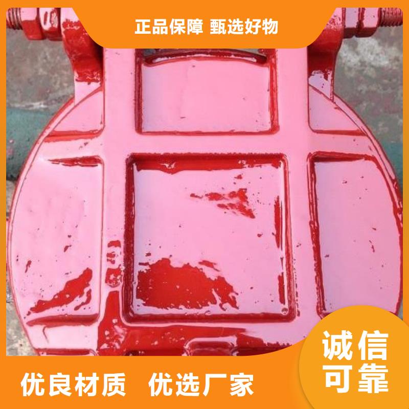 拍门钢制拍门厂家订购
