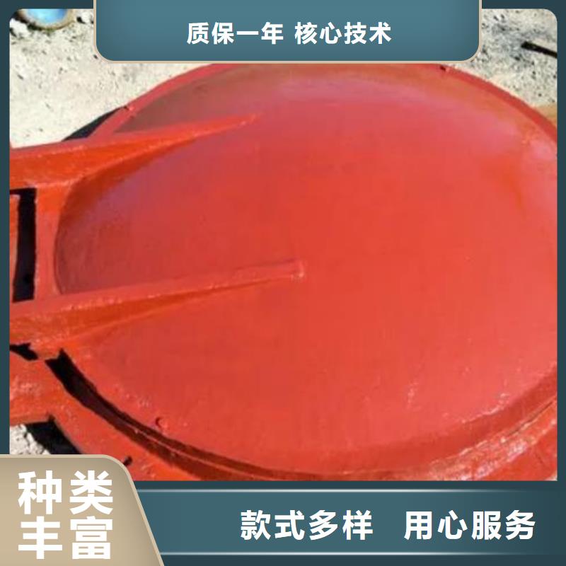 拍门_启闭机量大更优惠