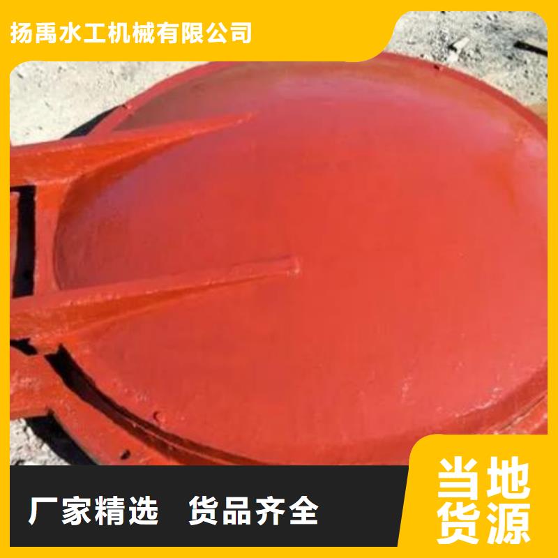 拍门 手提铸铁闸门现货充裕