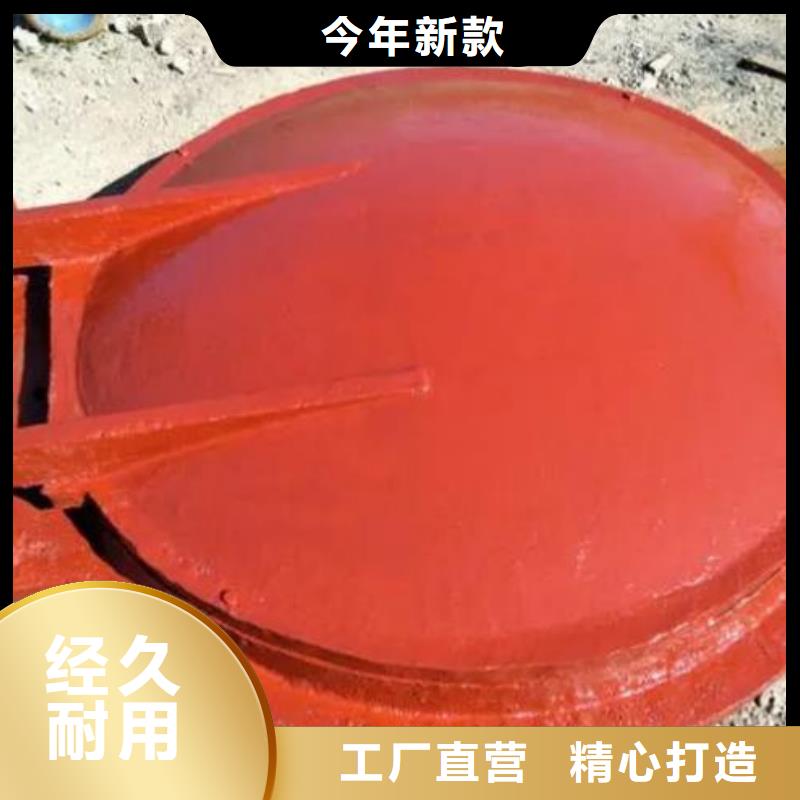 拍门钢制闸门多年经验值得信赖