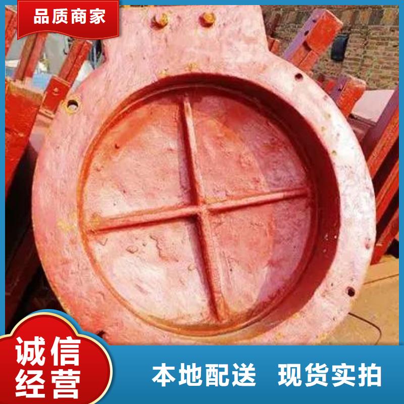 拍门_启闭机量大更优惠