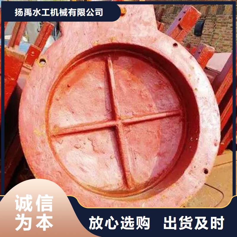 钢制拍门-视频-临沂市钢制拍门-【本土】可服务区域沂南|郯城|枣庄|日照|滨州|威海|潍坊|莱芜|德州