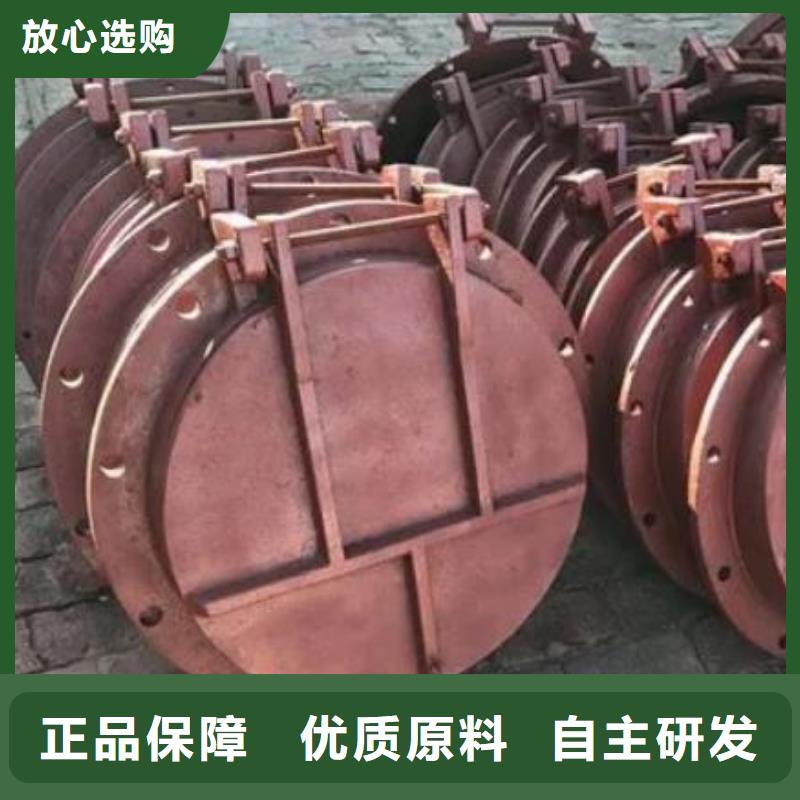 拍门-泵站铸铁闸门今日新品