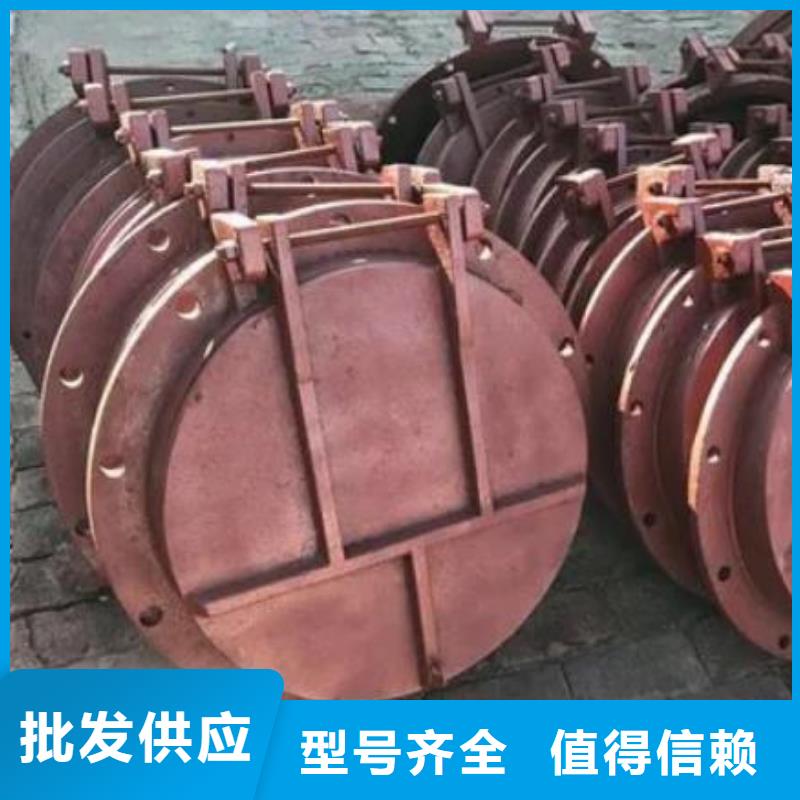 拍门厂家直发