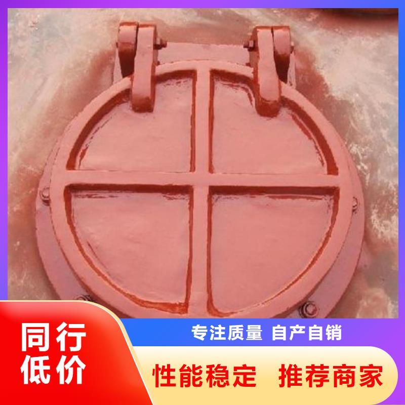 拍门铸铁闸门厂家品质做服务