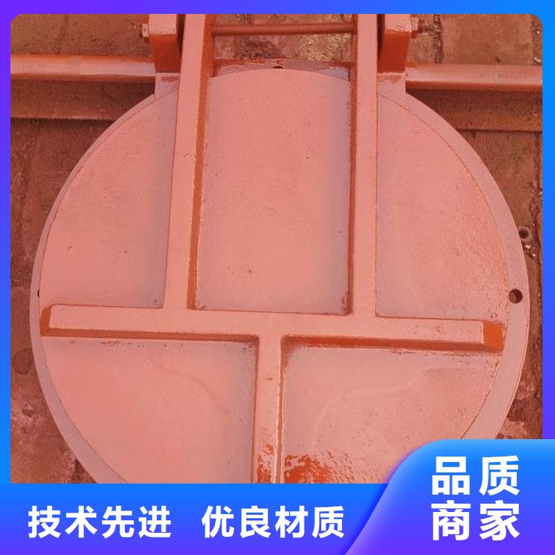 【拍门 启闭机闸门货真价实】