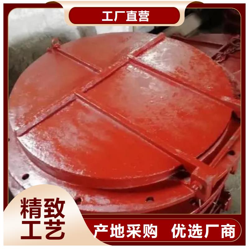 拍门 钢制闸门实体诚信厂家
