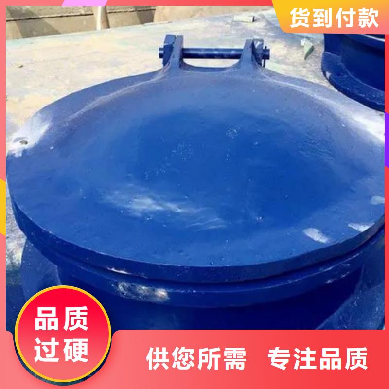 拍门铸铁闸门厂家品质做服务