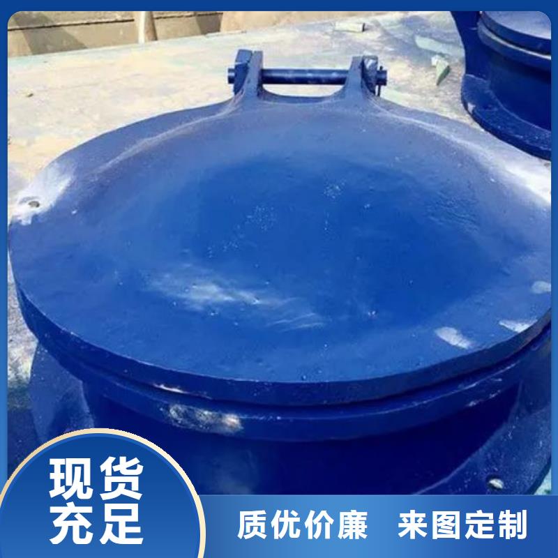 拍门 手提铸铁闸门现货充裕