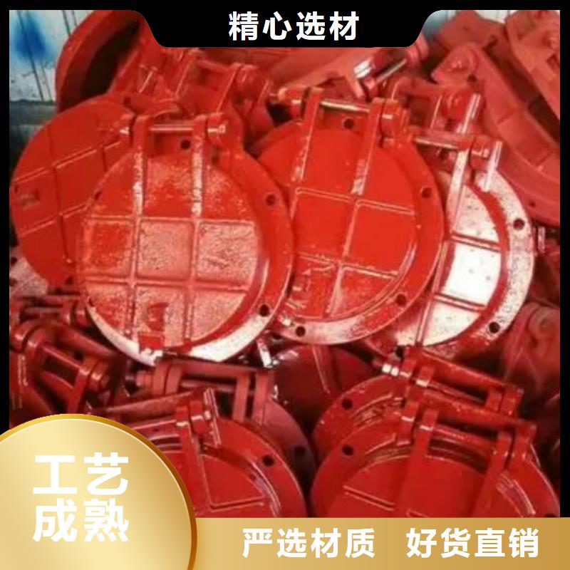【拍门 启闭机闸门货真价实】