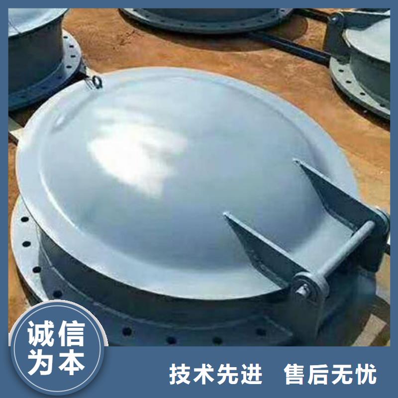 拍门 钢制闸门实体诚信厂家