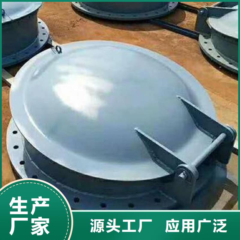 拍门球墨铸铁闸门经验丰富品质可靠