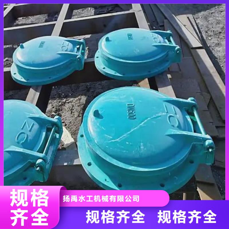 钢制拍门-视频-乌鲁木齐市钢制拍门-(当地)可服务区域克拉玛依|伊犁