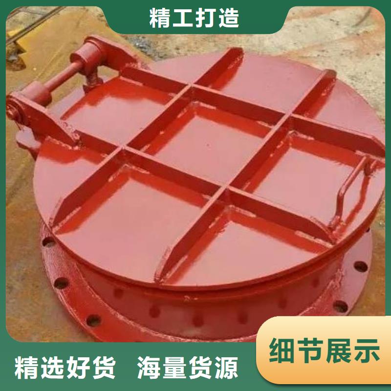 拍门球墨铸铁闸门定制批发