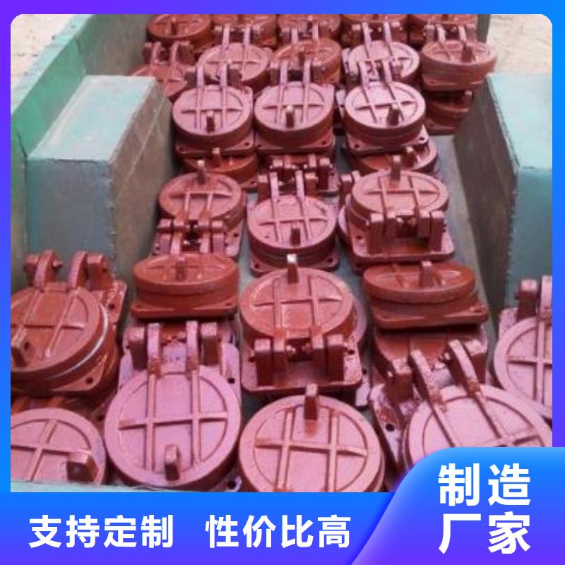 拍门卷扬启闭机厂家工期短发货快