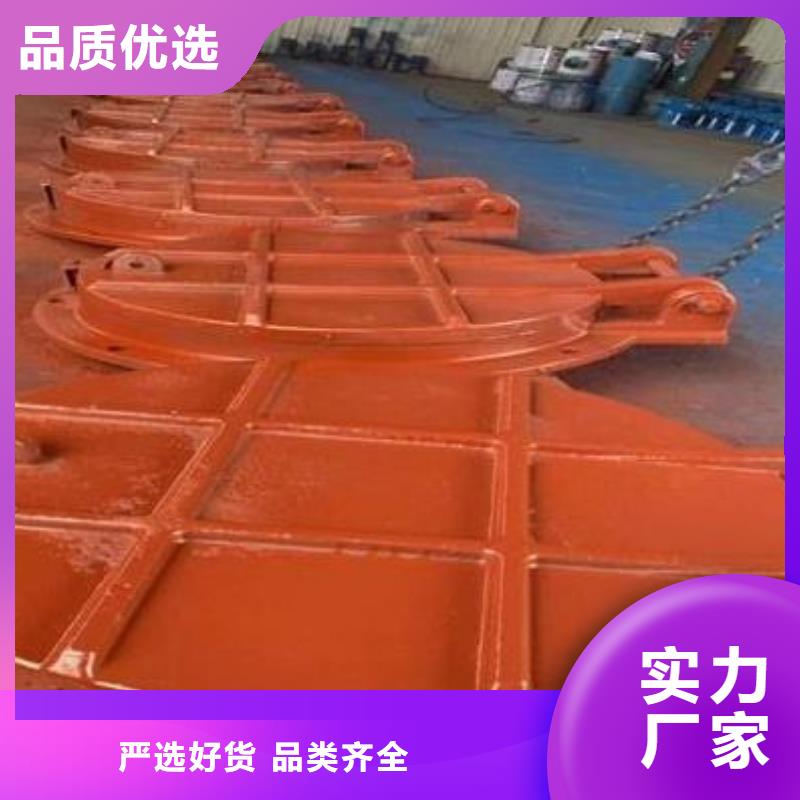 拍门行业优选