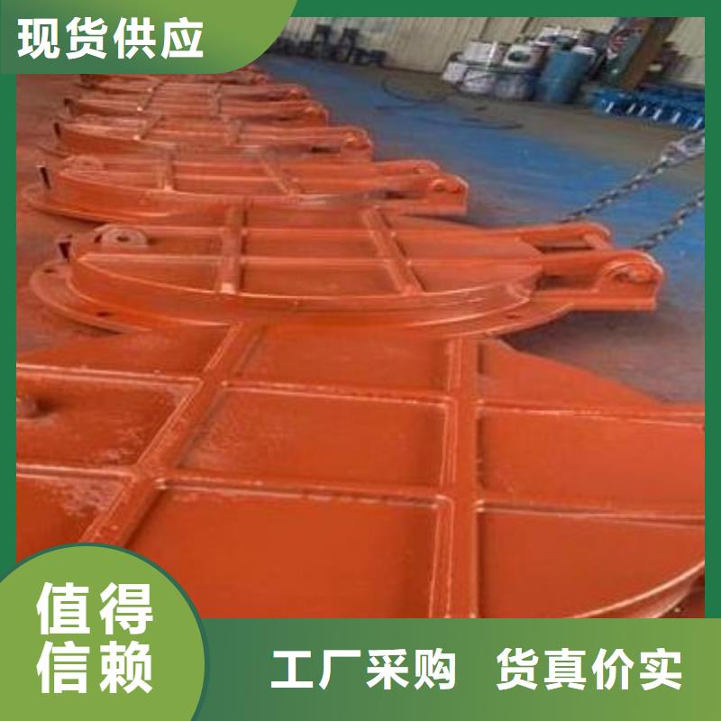 【拍门 铸铁闸门厂家严格把关质量放心】