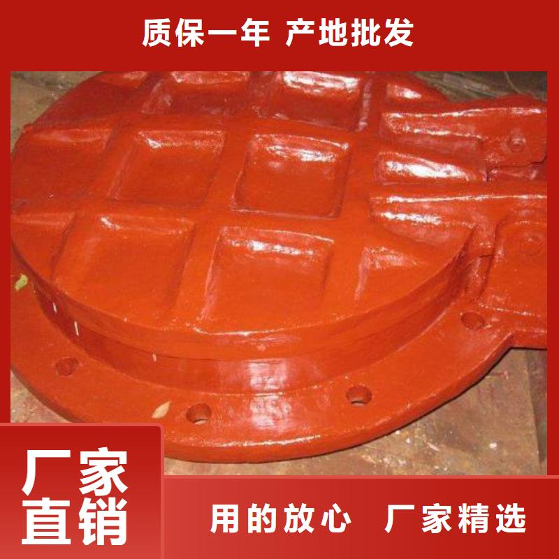拍门拦污栅一个起售