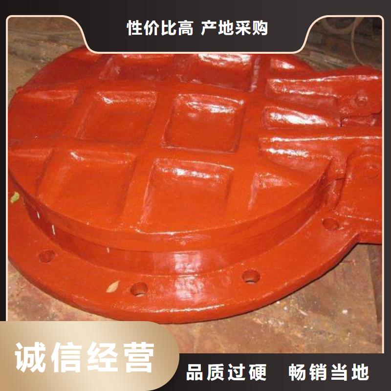 钢制拍门-视频-乌鲁木齐市钢制拍门-(当地)可服务区域克拉玛依|伊犁