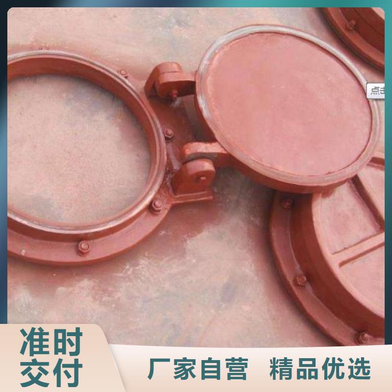 钢制拍门-视频-钢制拍门-广东省肇庆市(当地)公司-四会|高要|韶关|湛江|广州|惠州|汕头|汕尾|珠海