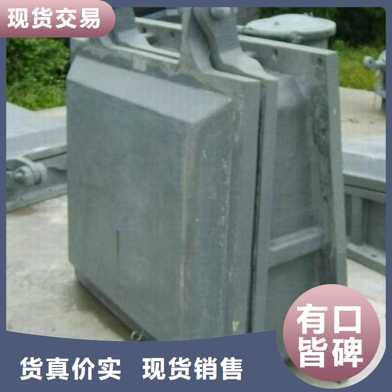  拍门厂家经验丰富