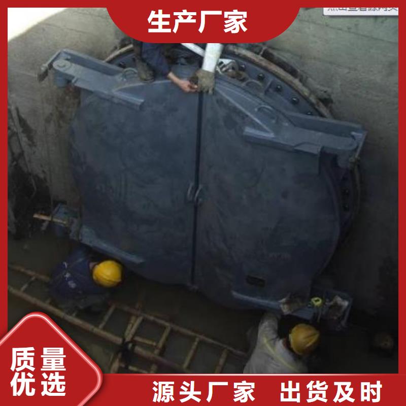 拍门_启闭机量大更优惠