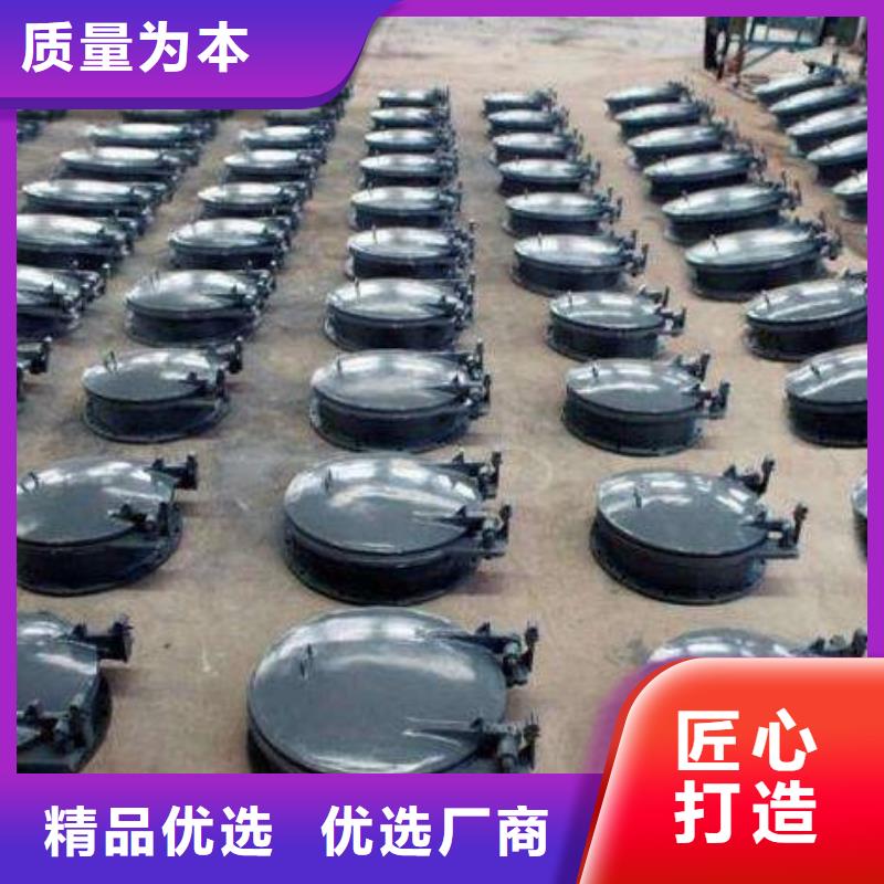 拍门球墨铸铁闸门经验丰富品质可靠