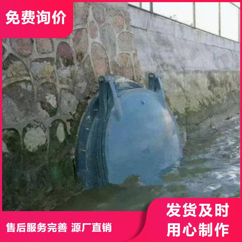 钢制拍门-视频-临沂市钢制拍门-【本土】可服务区域沂南|郯城|枣庄|日照|滨州|威海|潍坊|莱芜|德州